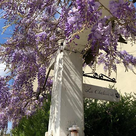 La Chabriere, Briarde De Charme Au Calme Proche Disneyland Lumigny Eksteriør billede